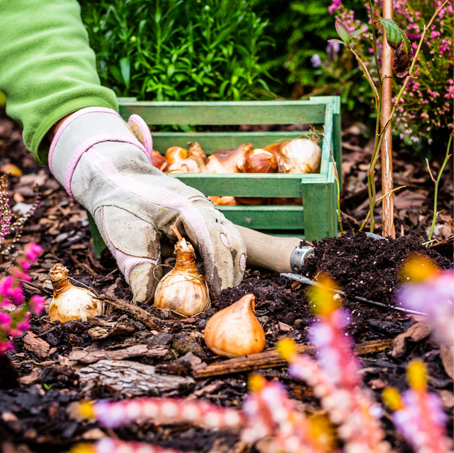 Gartenpflege im Herbst