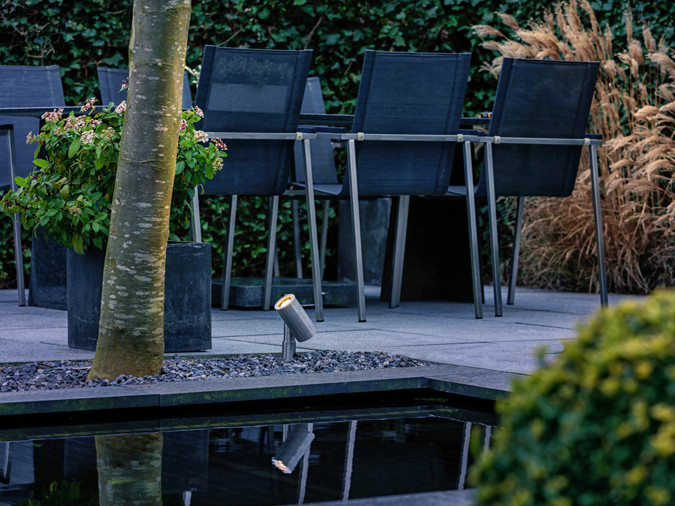 Ein Baum wird von einem Strahler angeleuchtet