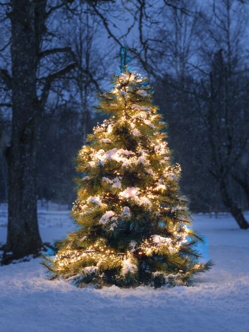 Weihnachten 2025 Teaser Bild 2