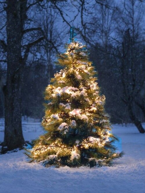 Weihnachten 2025 Teaser Bild 2