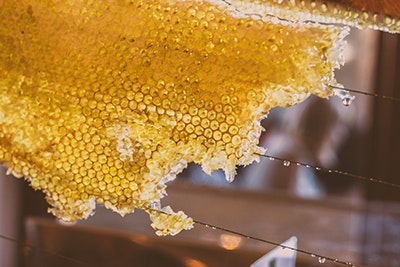 Bienenwaben
