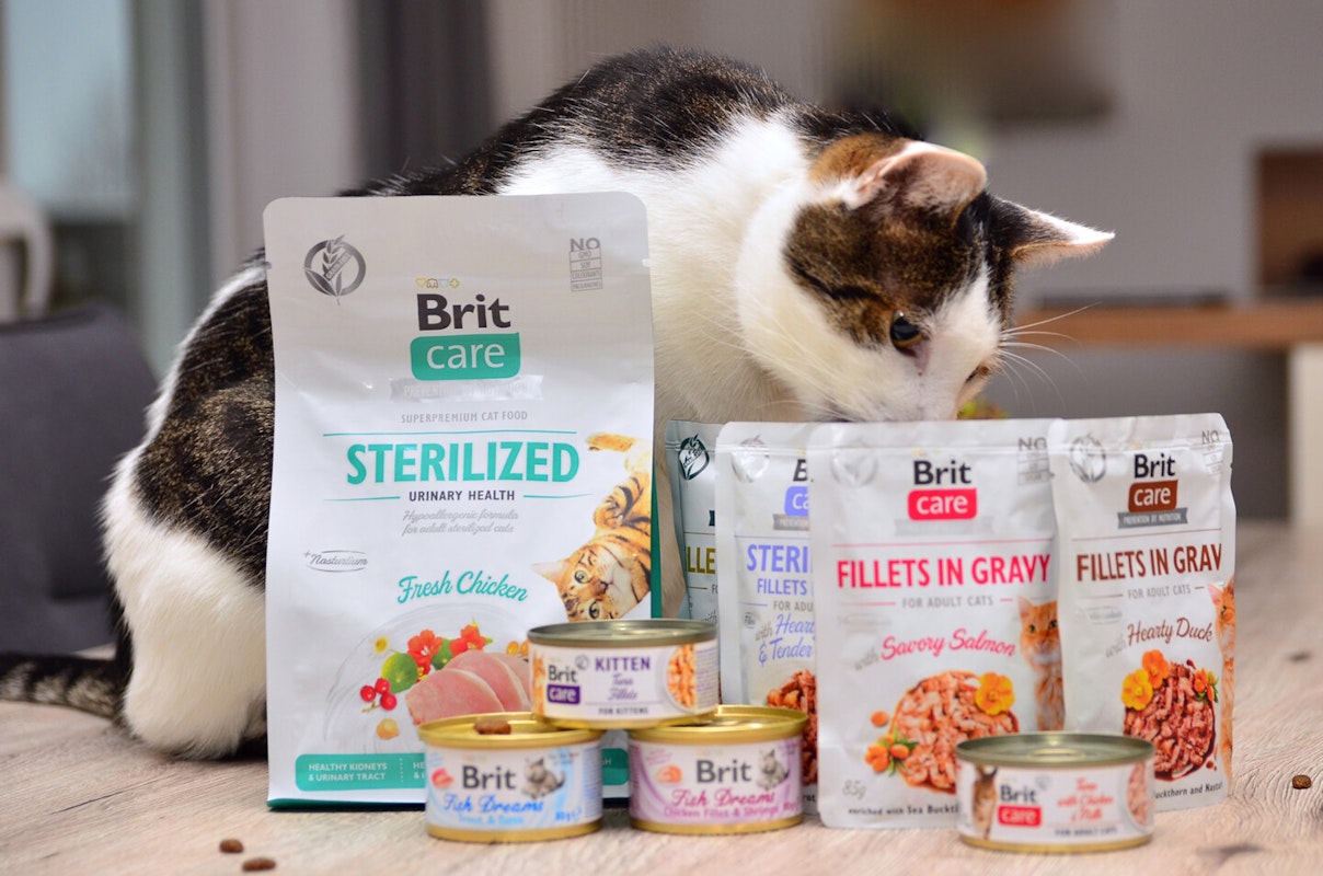 Katze Markenwelt Brit care Katze sitzt hinter Brit Care Produkten
