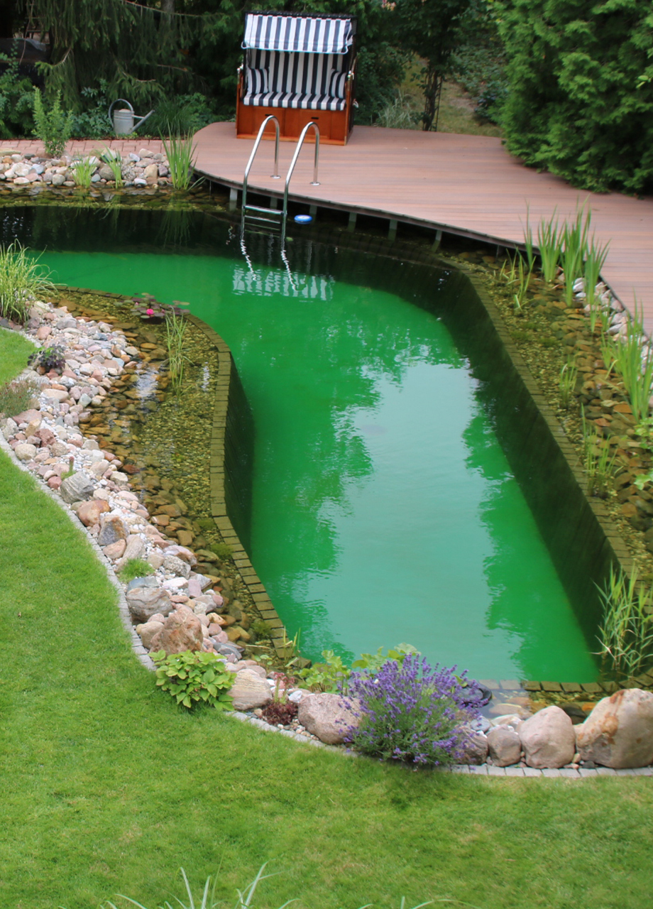 Schwimmteich der Extraklasse