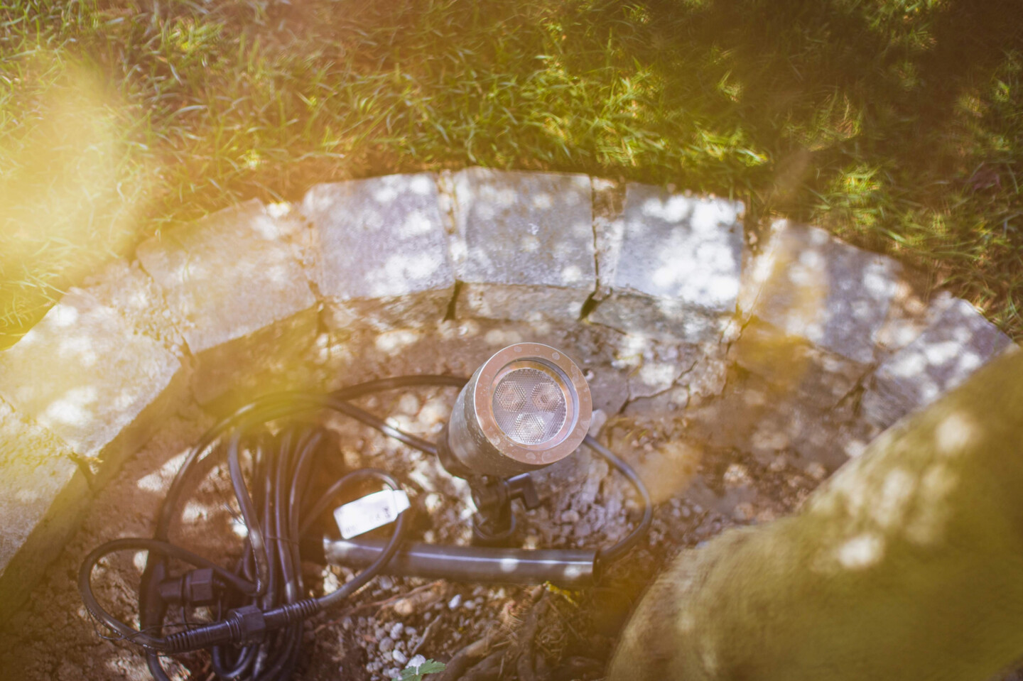 Spotlight für einen Baum