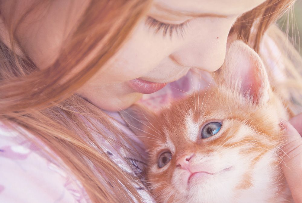 Katzenfutter Kitten von Happy Cat