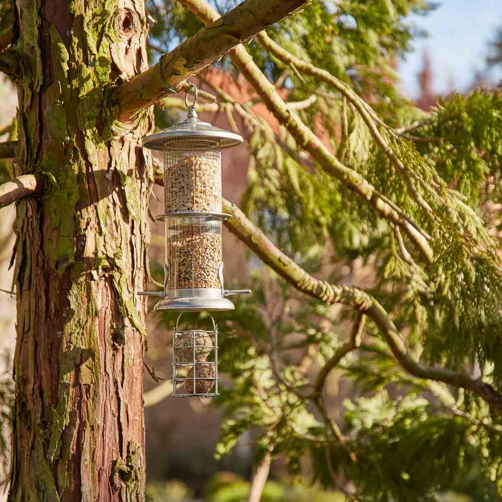Futtersäulen für Vögel sind im Winter ideal
