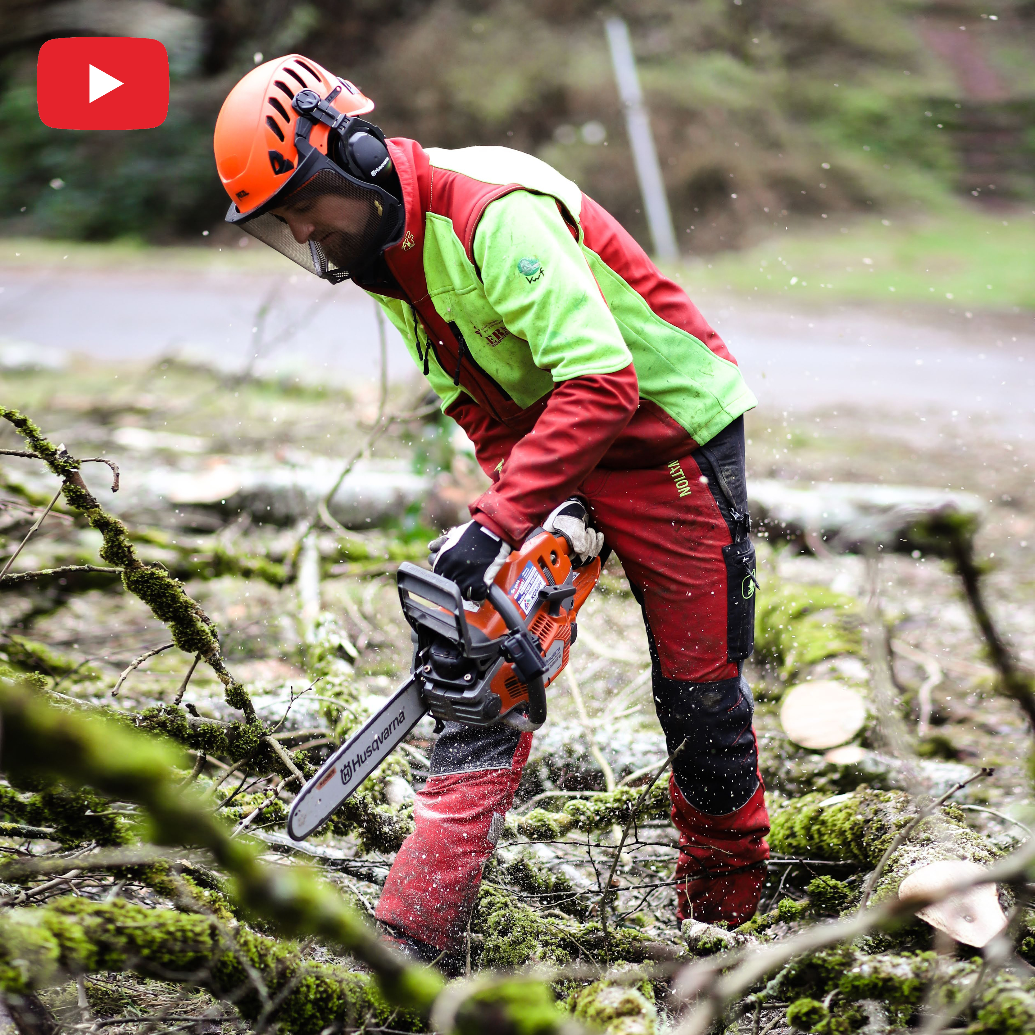 Husqvarna 550 XP G Mark II: Profi Allrounder zum Fällen und Entasten
