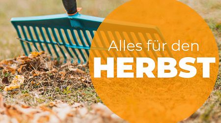 Garten im Herbst