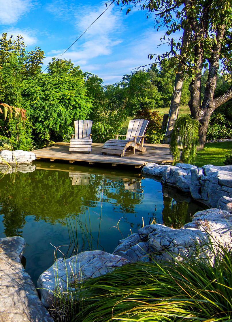Den Teich schützen - die Teichpflege im Sommer!
