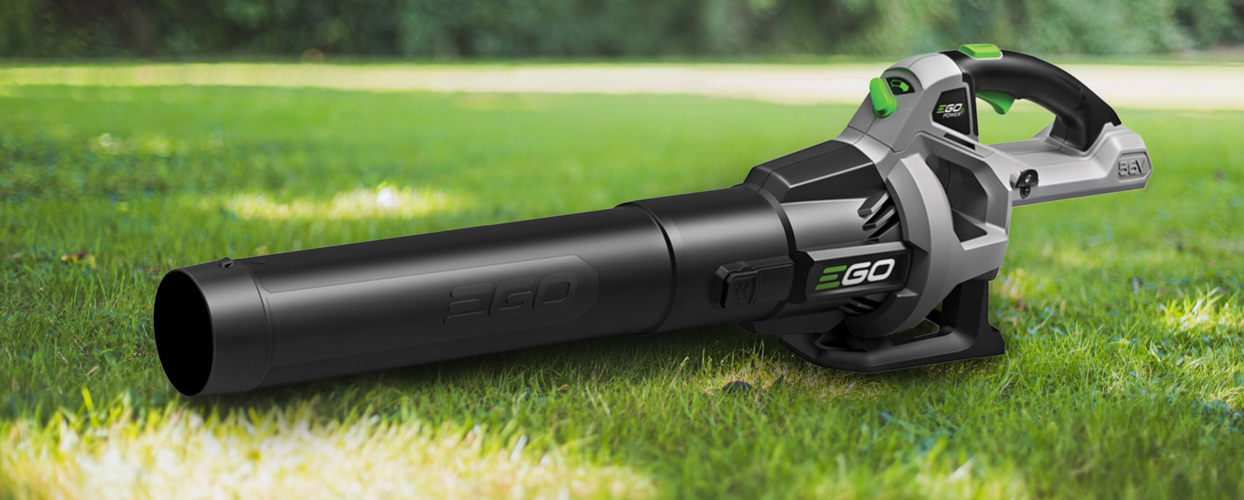 Laubbläser-Rabatt Aktion