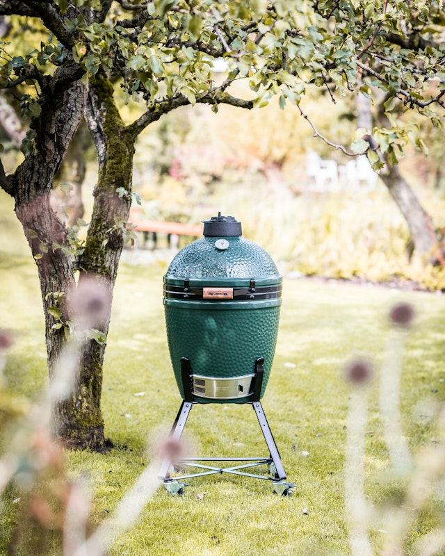 Big Green Egg im Garten Das Big Green Egg unter einem Baum
