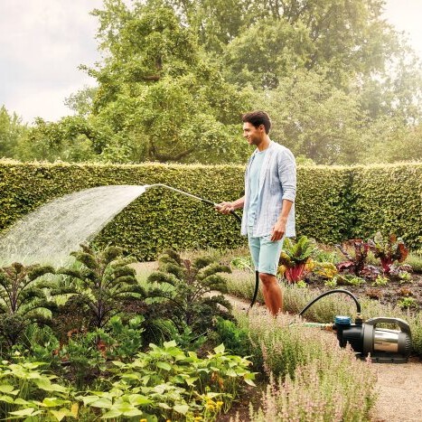 Hitze-Tipps für Mensch, Tier und Garten