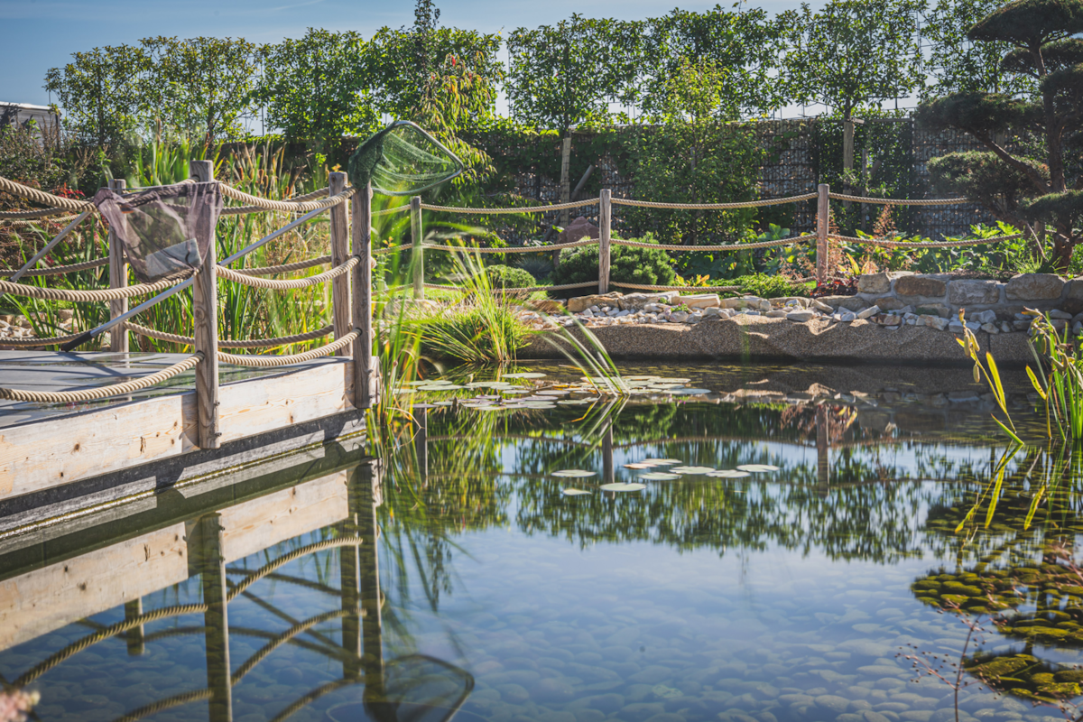 Thema Teich Idyllischer Gartenteich mit einem Holzsteg