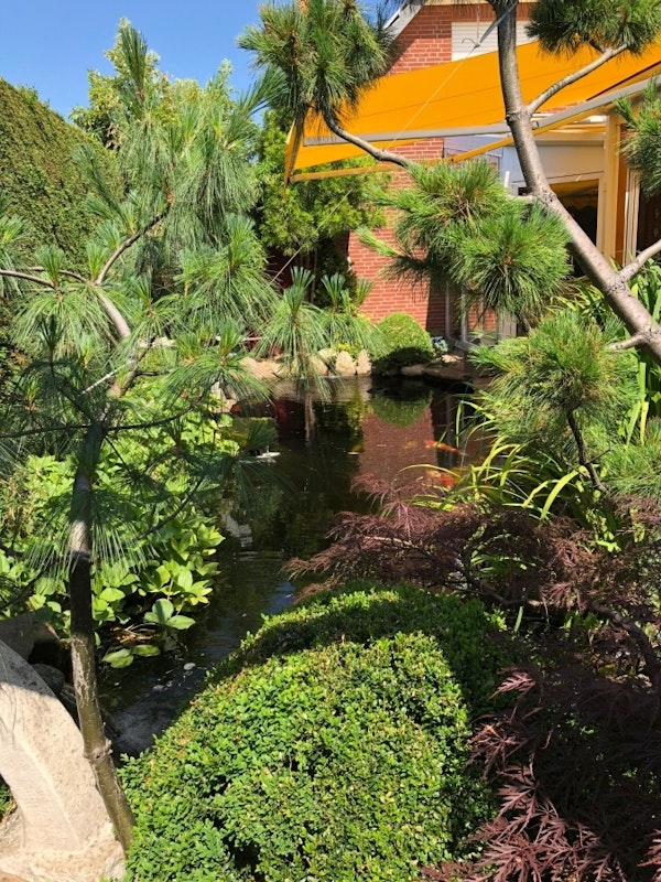 Bäume und Büsche mit Teich