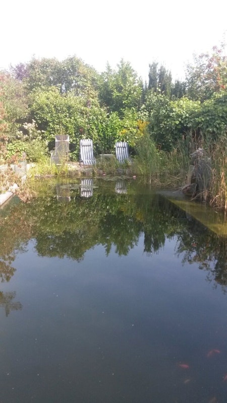 Schwimmteich mit Liegestühlen im Hintergrund