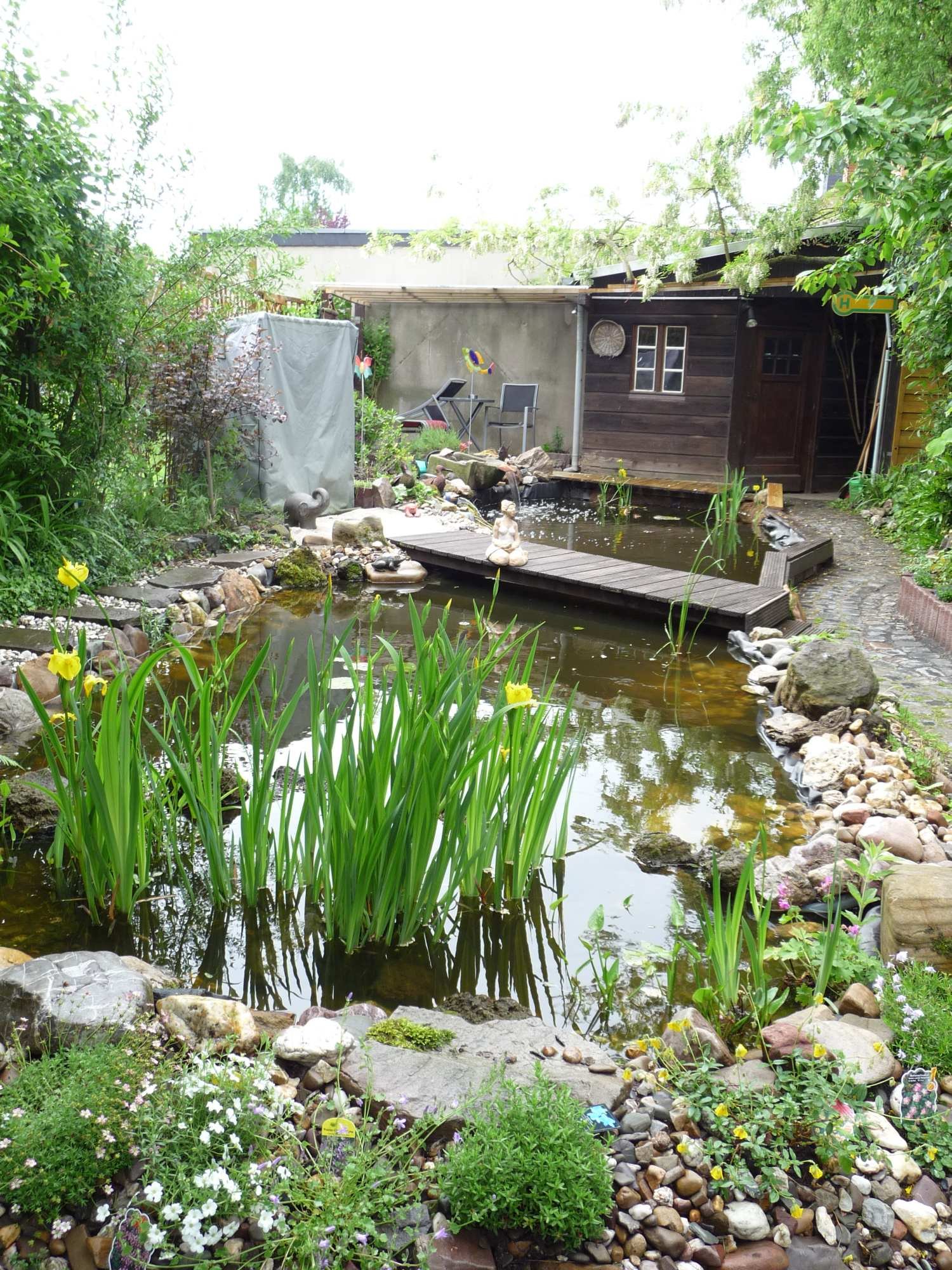 Unser Teich: so hat er sich mit den Jahren entwickelt!