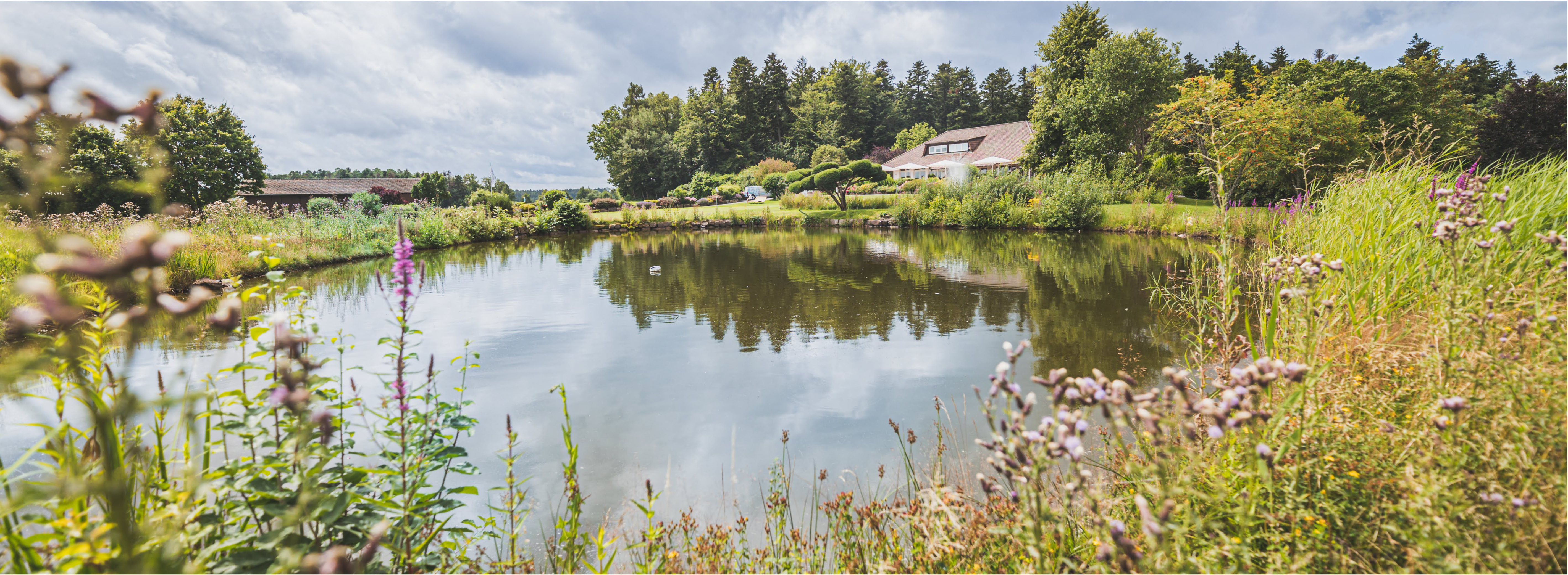 Teichpflege im Sommer