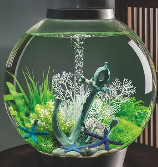 Geschenkideen von BiOrb