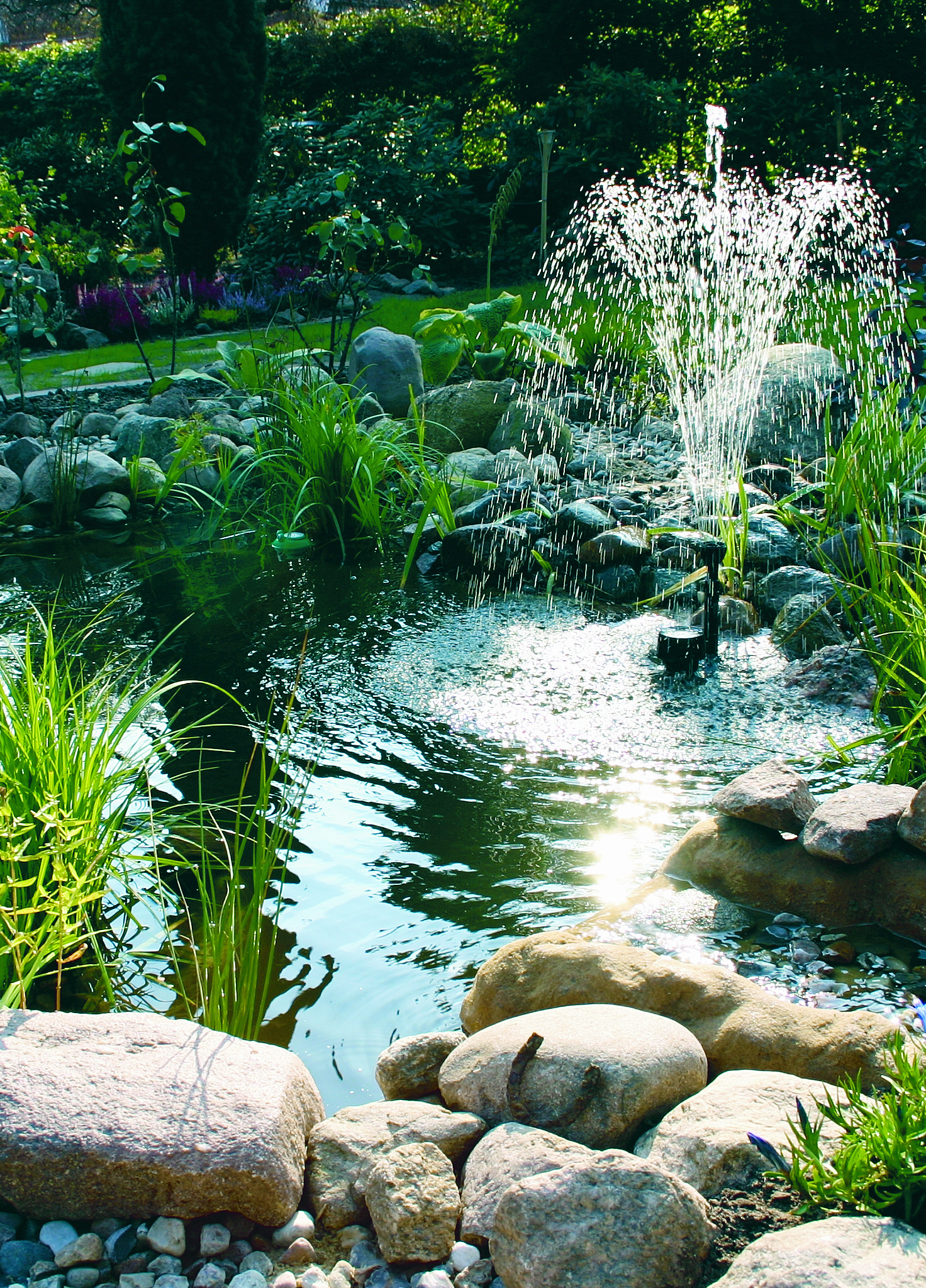 Teichschalen – die clevere Alternative zum Folienteich