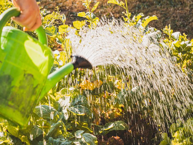 Regenwassernutzung mit Regentonnen, Erdtanks und Zisternen