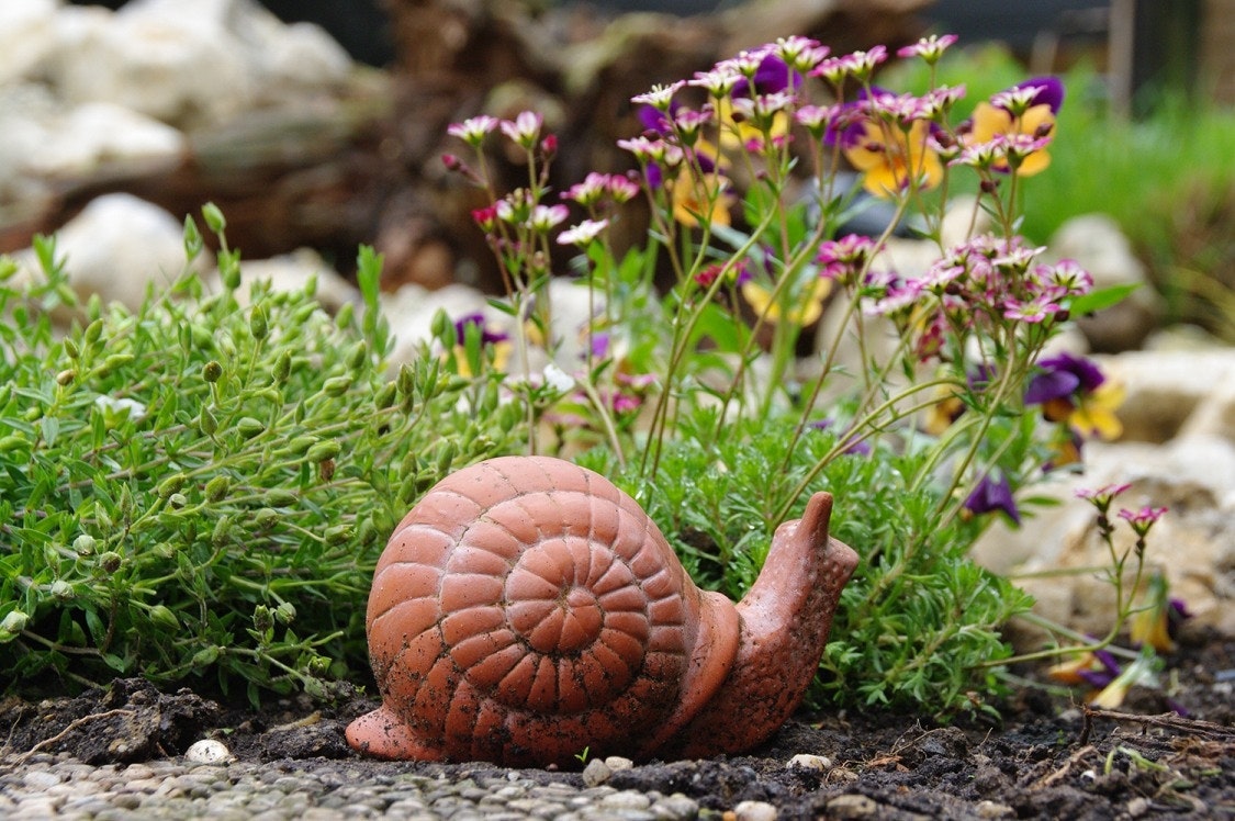 Tonschnecke am Teich Schnecke aus Ton vor bunten Blumen