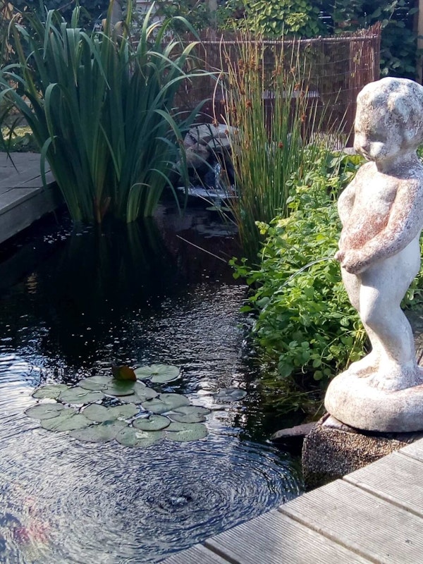 Teich mit Statue Teich mit Statue