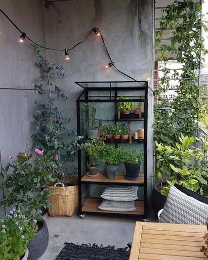 Juliana Gewächshaus Urban City Greenhouse