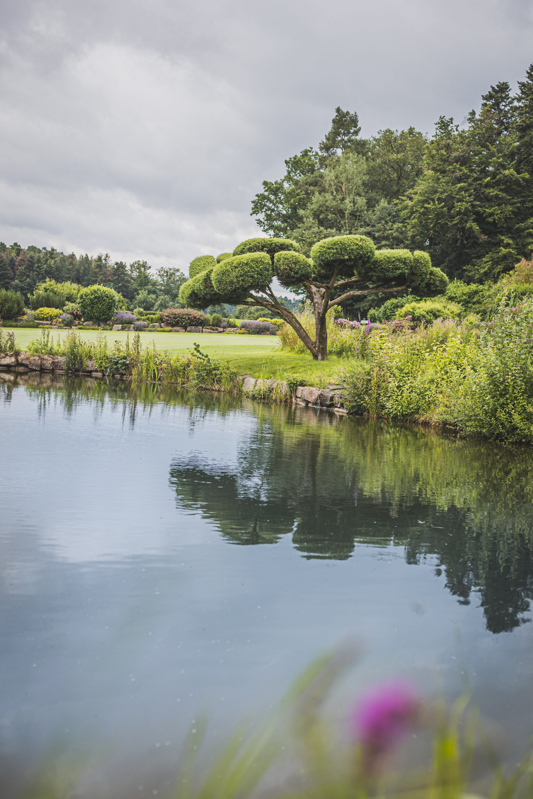 Inspiration für Ihr Teichprojekt! Teaser Bild 2