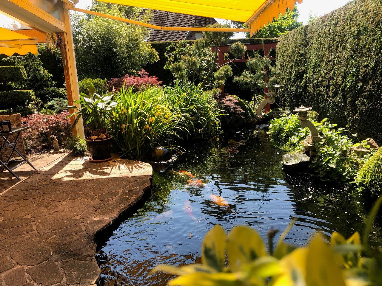 Ein direkt an die Terrasse angebauter Fischteich