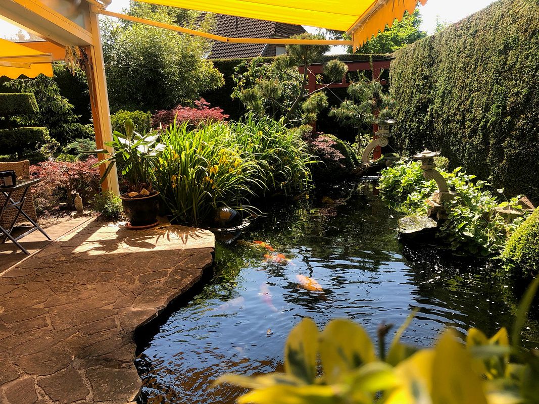 Ein direkt an die Terrasse angebauter Fischteich