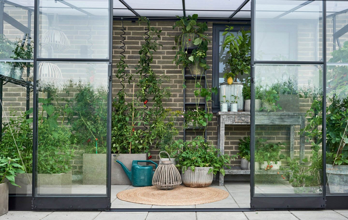 Halls Gewächshaus Qube Lean-to