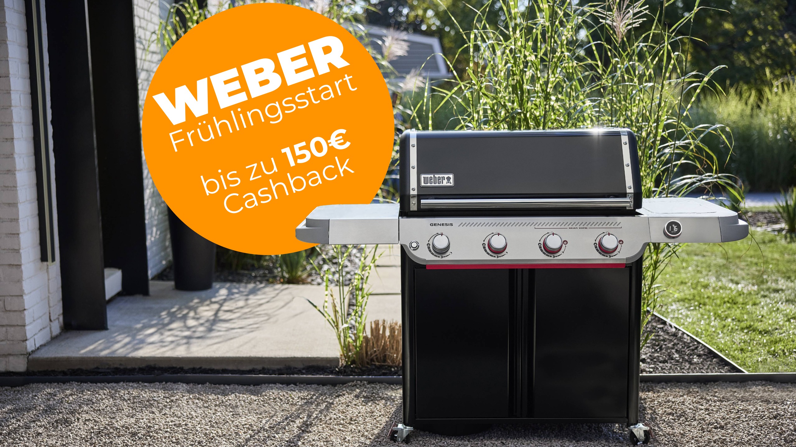 Weber Frühlingsstart