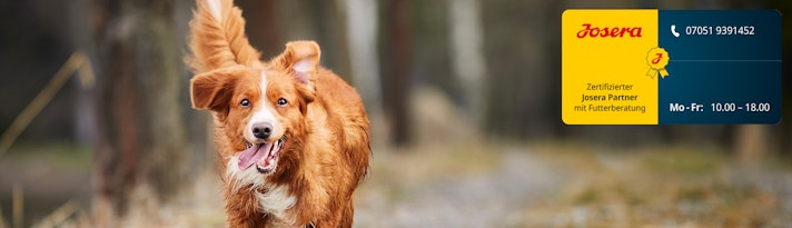 Entdecken Sie Tierfutter von Josera Sliderbild