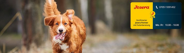 Entdecken Sie Tierfutter von Josera Sliderbild