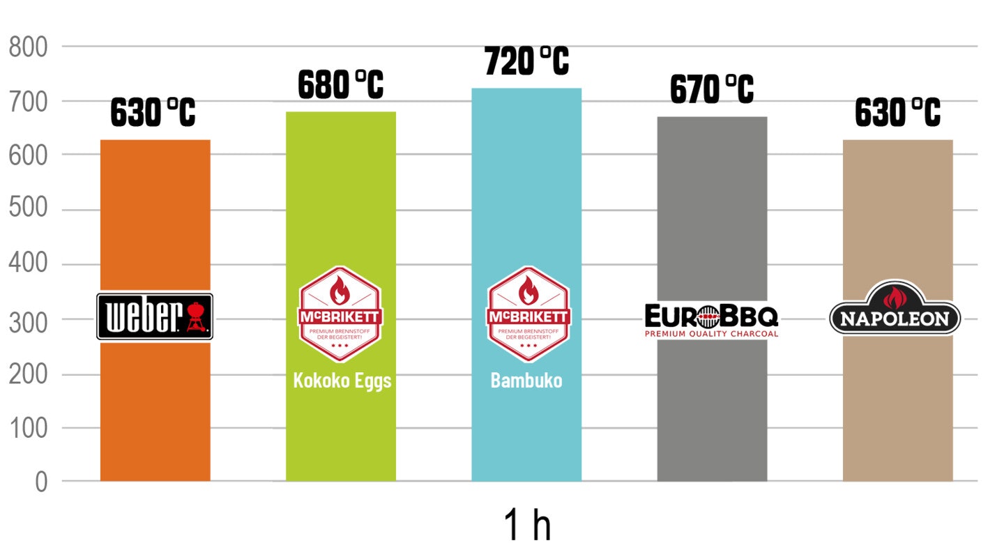 Temperatur nach einer Stunde Temperatur der Briketts nach einer Stunde