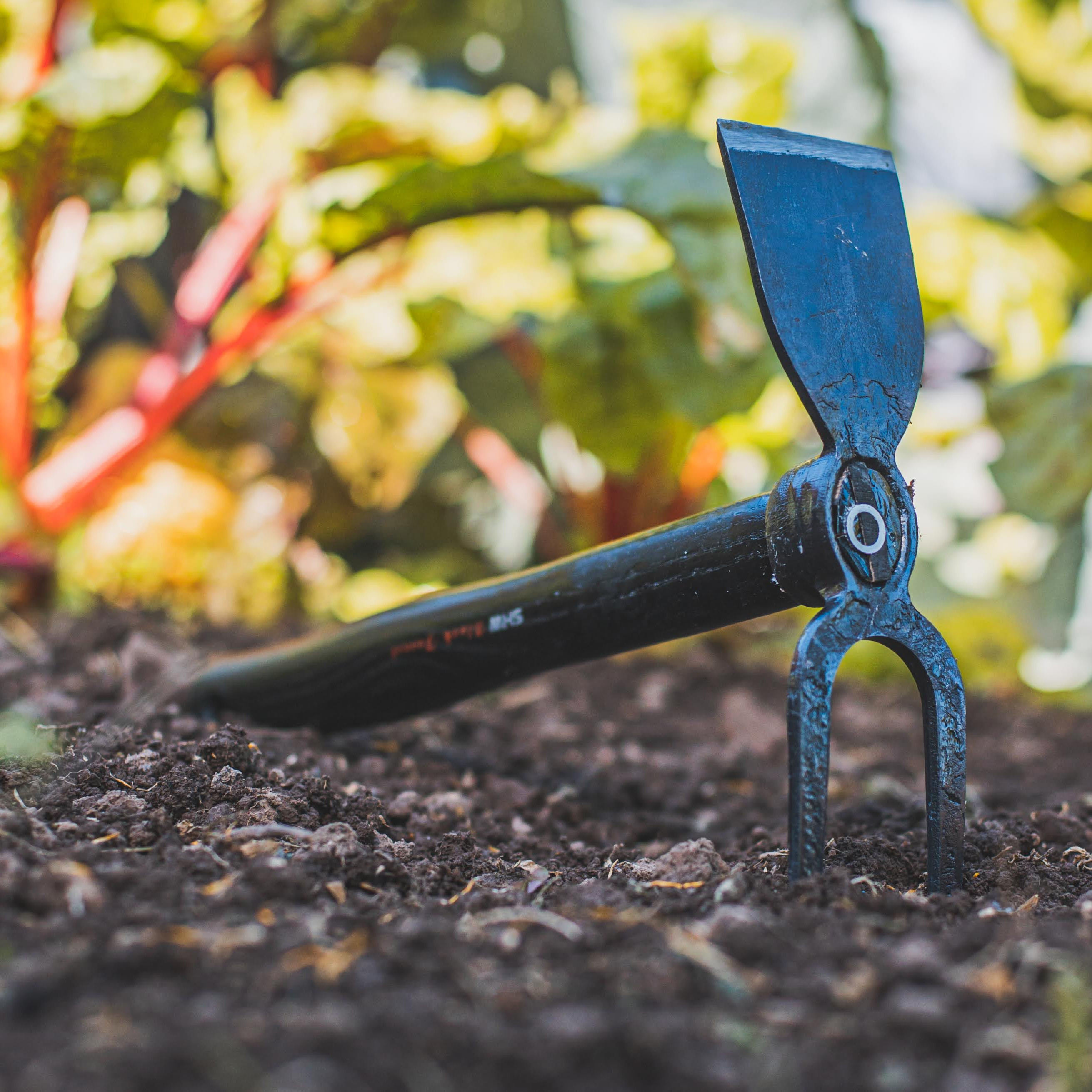 Bild von Gartenarbeit genießen