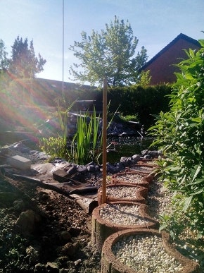 Gemütliche Morgenstimmung am Gartenteich Die Morgensonne scheint auf den