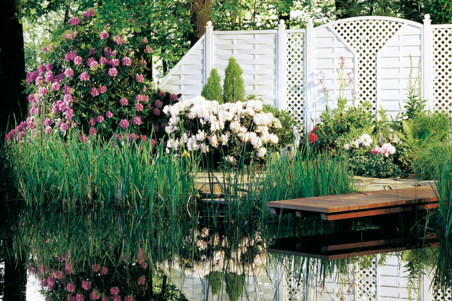 TraumGarten Longlife RomoDesign