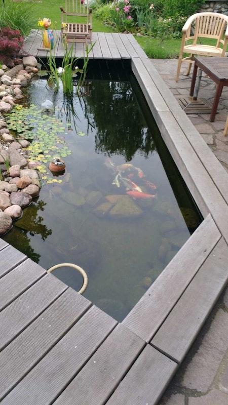 Schöner Teich Schöner Teich