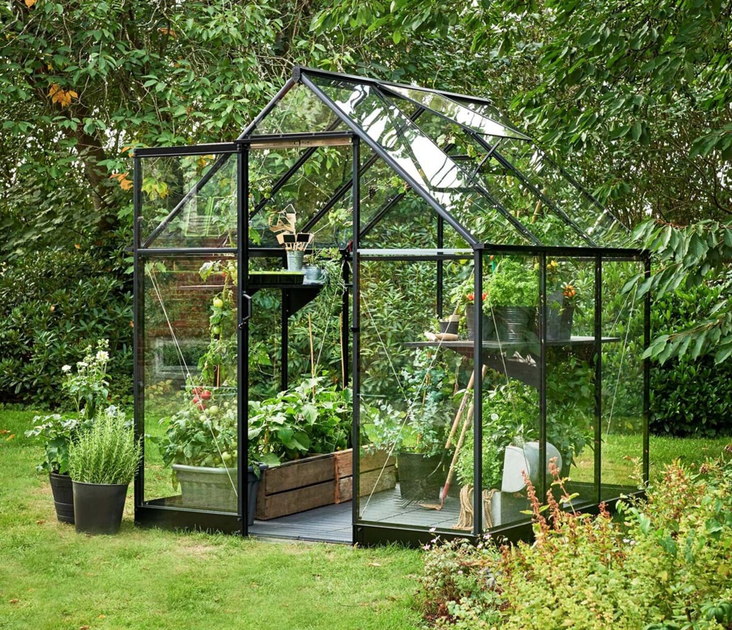 Juliana Qube Gewächshaus