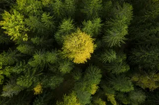 Husqvarna Geringe CO2-Emissionen