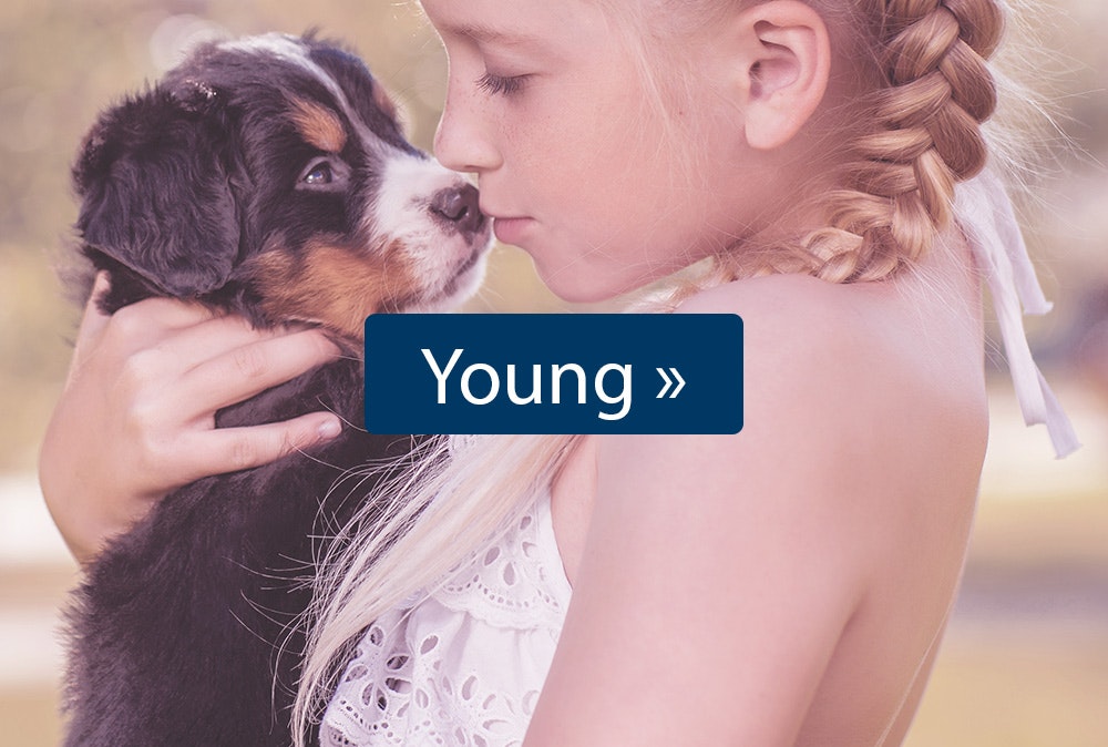 Young Happy Dog Welpenfutter