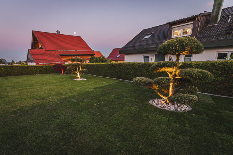 Strahler setzen (farbige) Akzente auf die Zierbäume im Garten