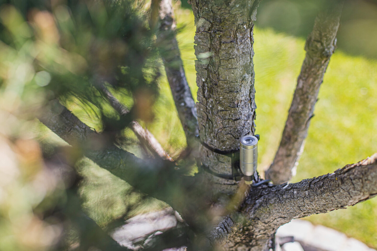 Ein kleiner Spot in einem Baum