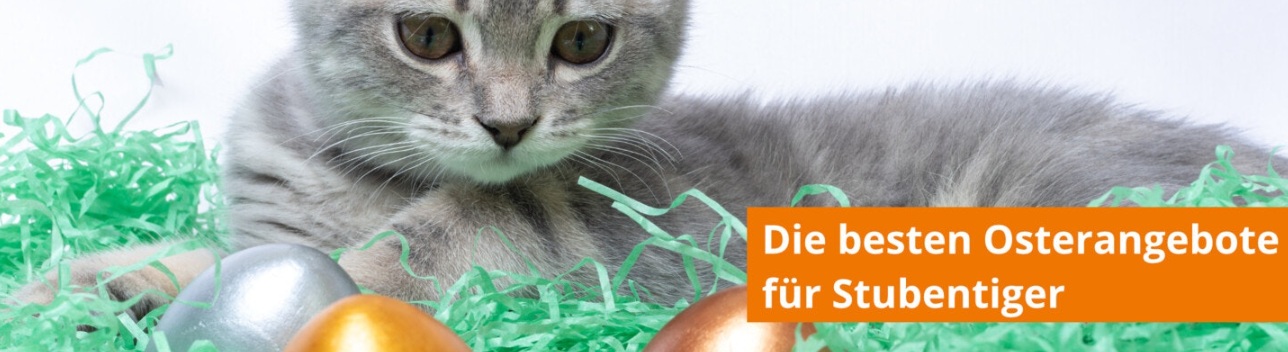 Osterangebote für Stubentiger
