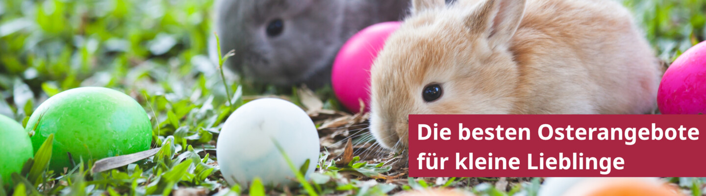 Freuen Sie sich über tolle Geschenke mit der Zoologo Osteraktion