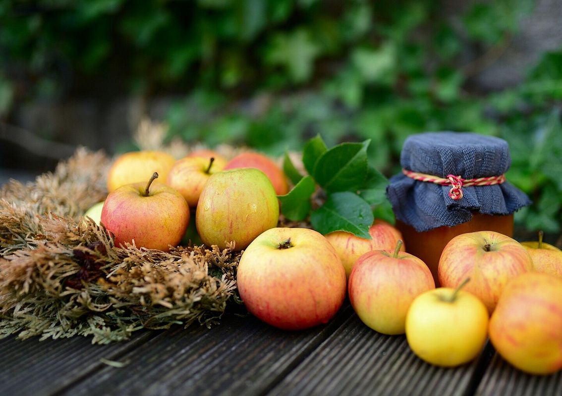 Herbstzeit ist Erntezeit