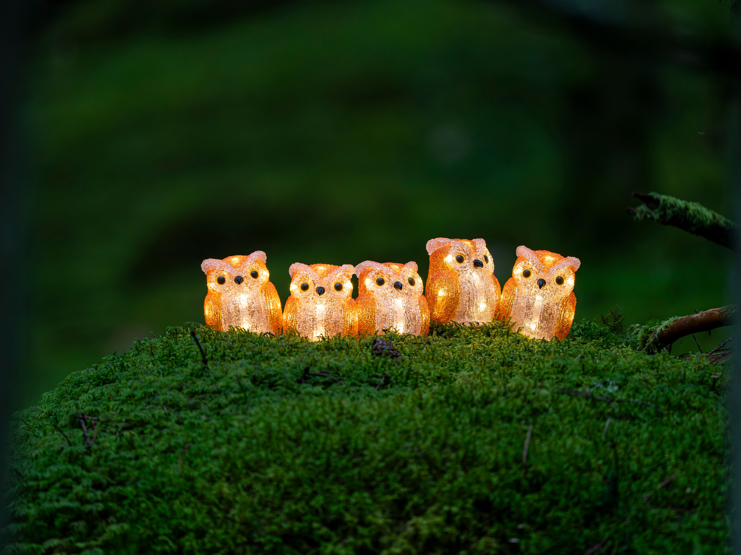 Weihnachten 2025 Content Bild