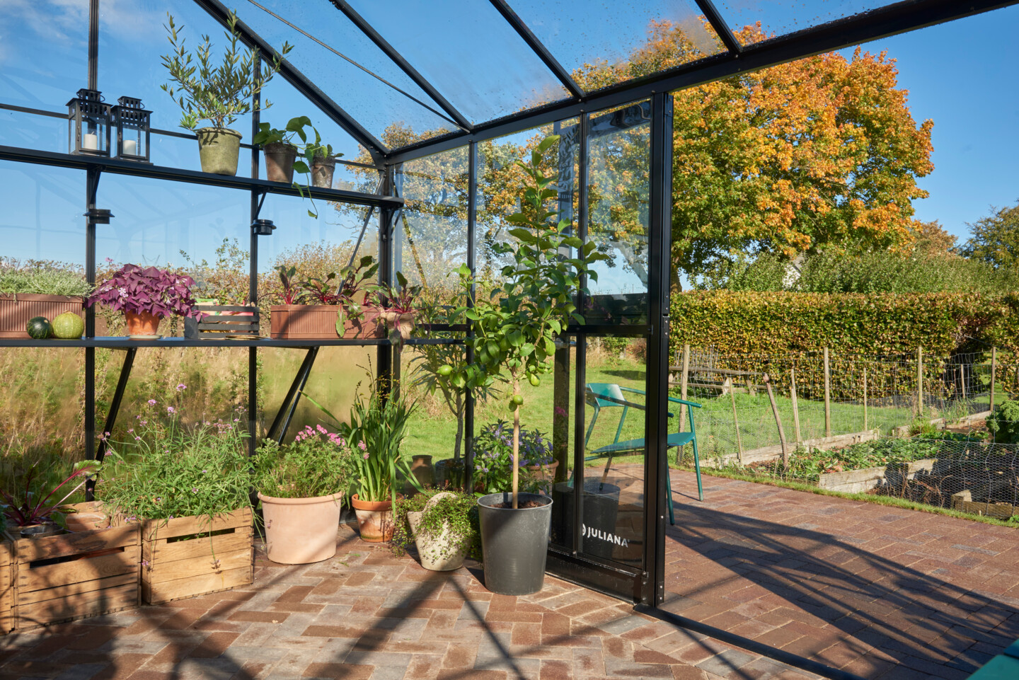 Schöner Platz in der dritten Jahreszeit: Das Juliana Gewächshaus Jubii mit 15,1 m²