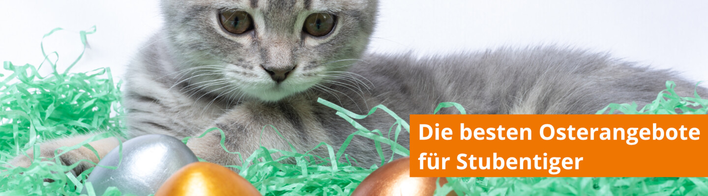 Freuen Sie sich über tolle Geschenke mit der Zoologo Osteraktion